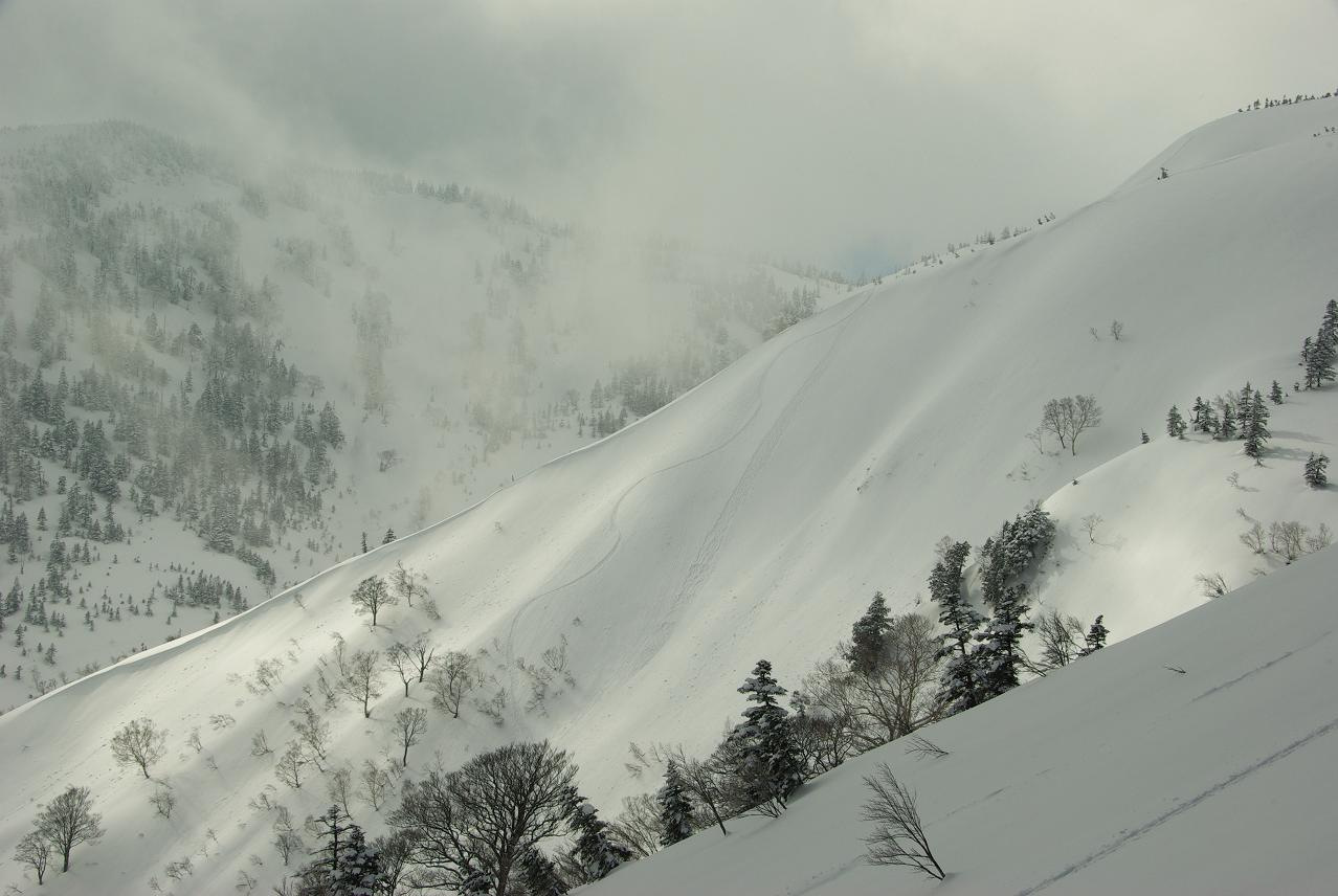 b0062024_20125036.jpg