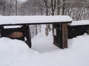 f0022024_21121720.jpg