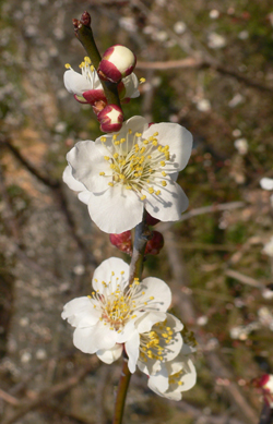 f0060424_044532.jpg