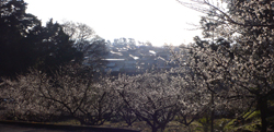 f0060424_1254285.jpg
