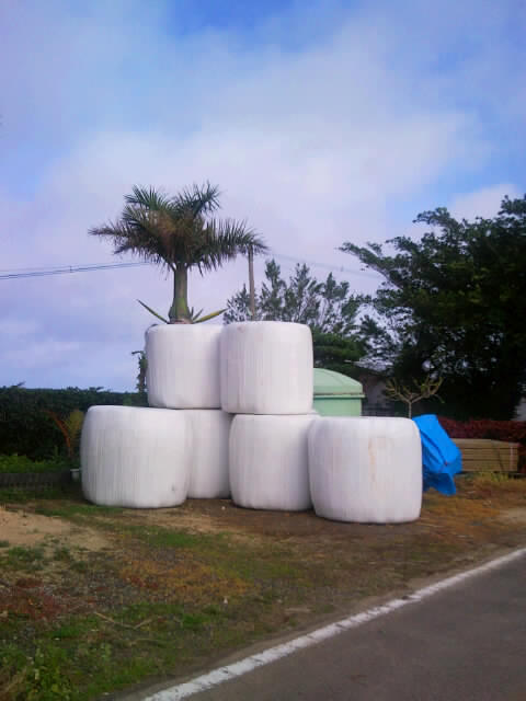 f0197325_13252683.jpg