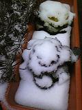 b0000829_19552548.jpg