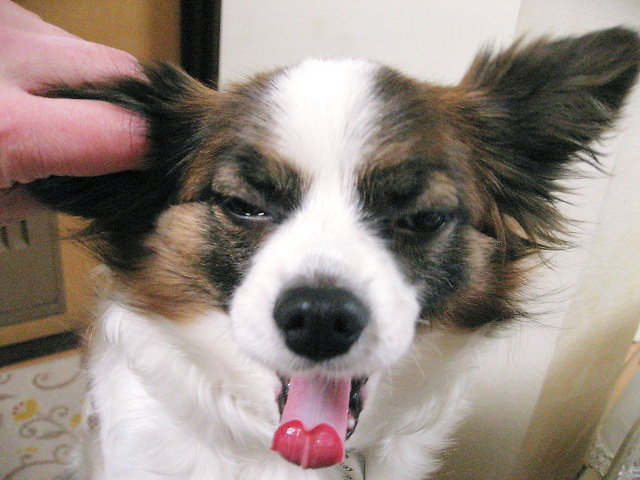 a0149240_2003746.jpg