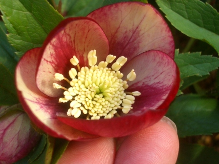 c0025140_20352025.jpg