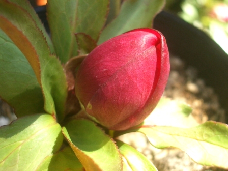 c0025140_20414435.jpg