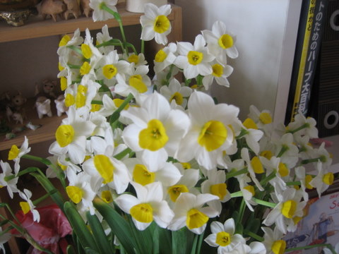 e0018143_15565232.jpg
