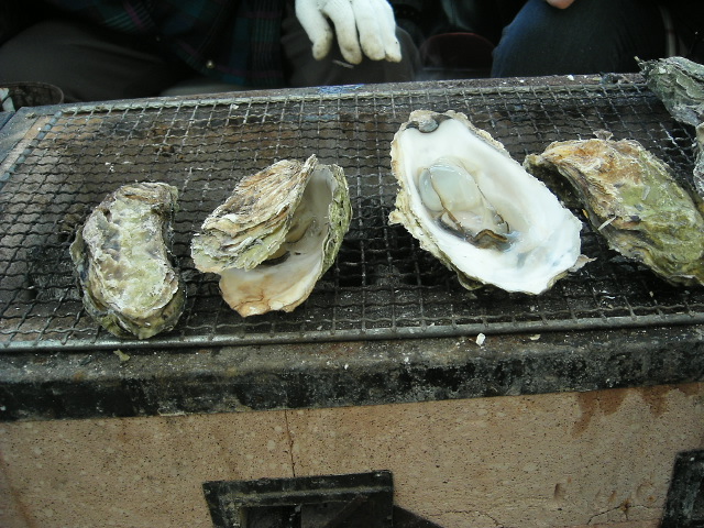 c0026846_13573562.jpg