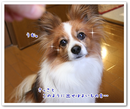 d0013149_13531231.jpg
