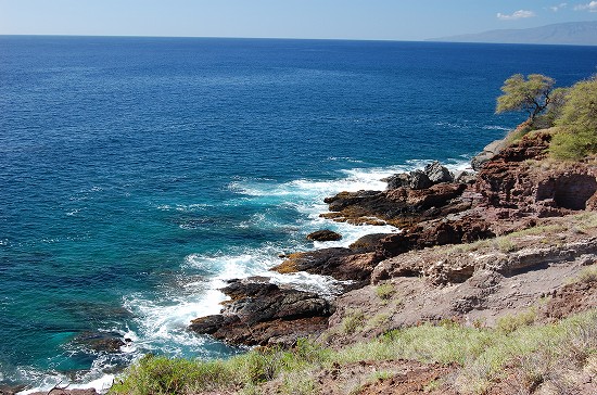 e0128367_5162449.jpg