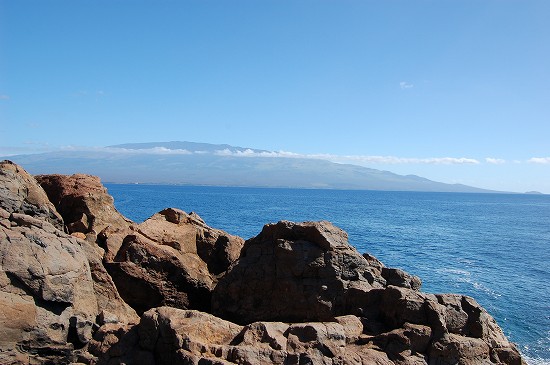 e0128367_5174046.jpg