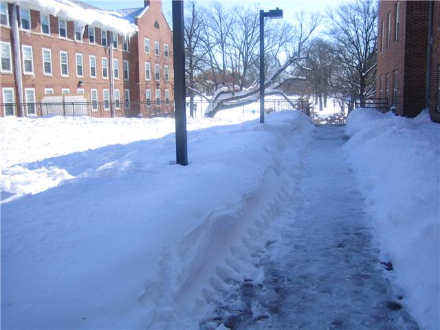 c0178169_4194152.jpg
