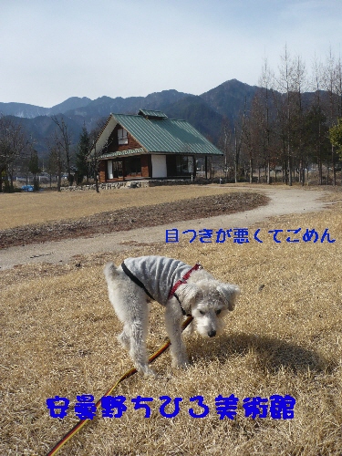 f0203369_21202198.jpg