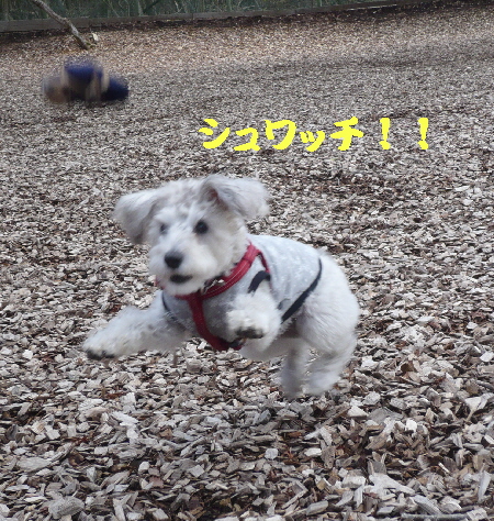 f0203369_21211630.jpg