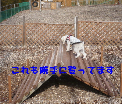 f0203369_21215156.jpg