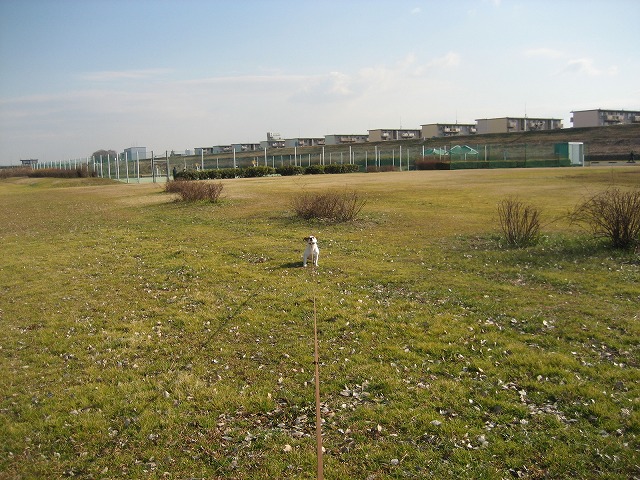 e0106372_12385679.jpg
