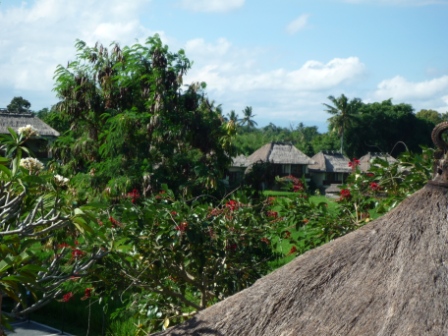 f0211476_2341486.jpg