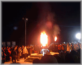 d0082980_030718.gif