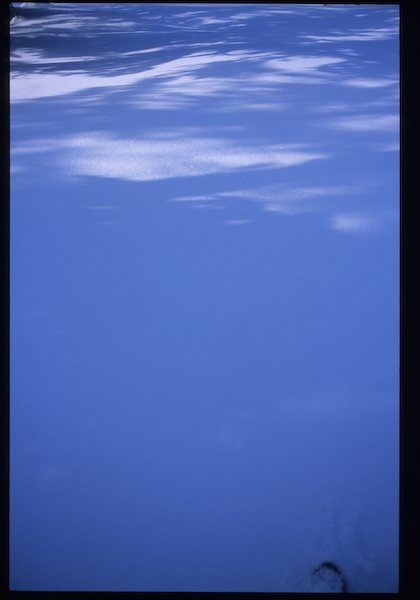 a0053783_22183331.jpg