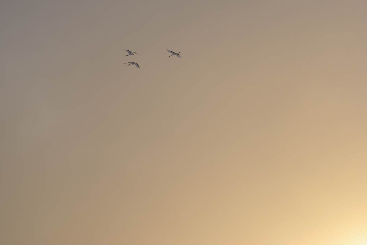 e0051186_17512037.jpg