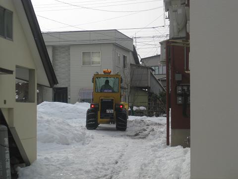 c0156487_519425.jpg
