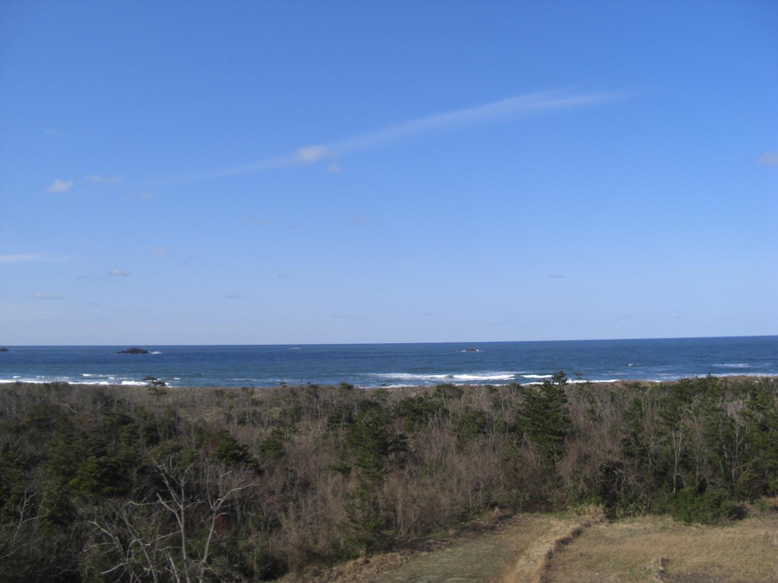 f0131491_17505665.jpg