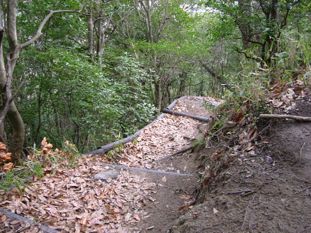 b0044296_2237364.jpg