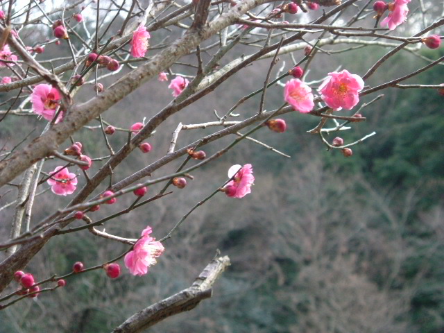b0044296_22533789.jpg
