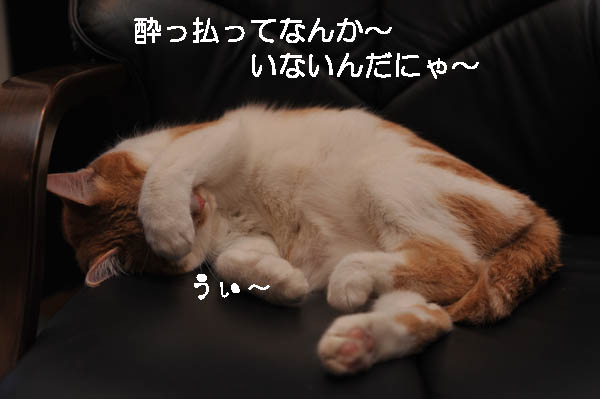 b0141397_1182671.jpg