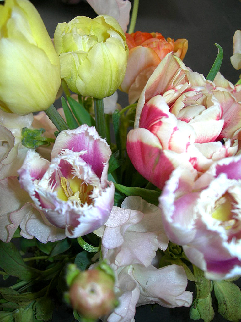 c0220700_13302174.jpg