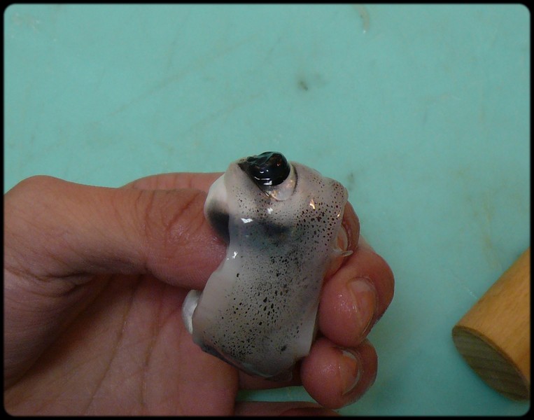 e0192200_11205280.jpg