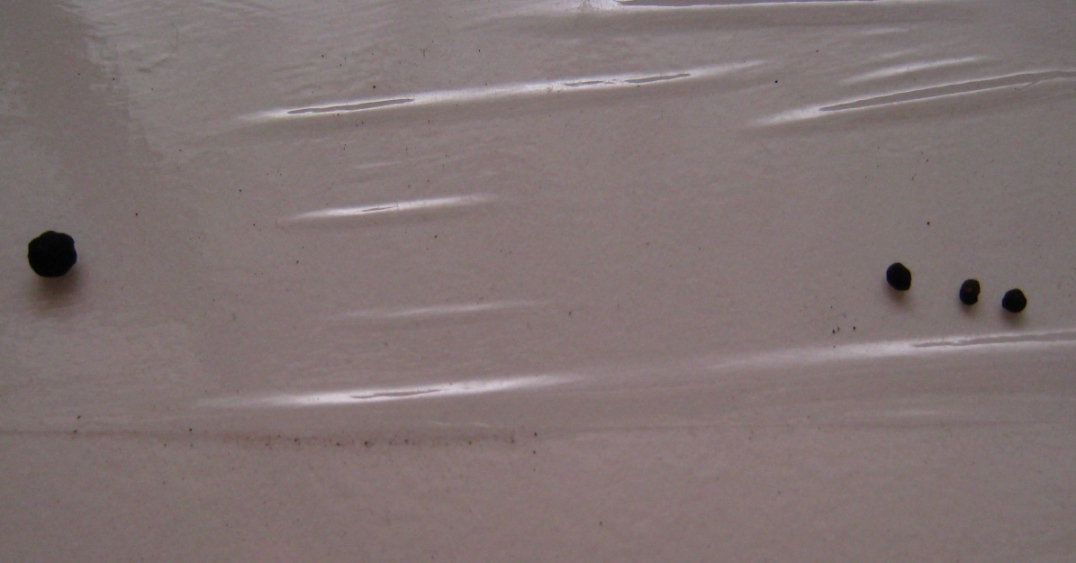 c0202712_10372732.jpg