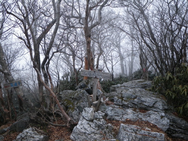d0006512_10301799.jpg
