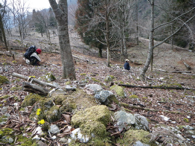 d0006512_10313574.jpg