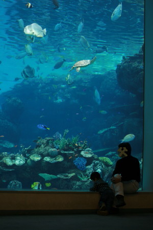 f0097620_21182699.jpg