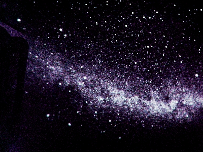 b0026822_23352335.jpg