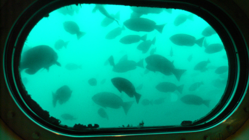 f0060424_1713998.jpg