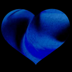 d0079026_3172647.gif