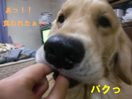 f0176830_19455271.jpg