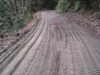 c0077338_8354126.jpg