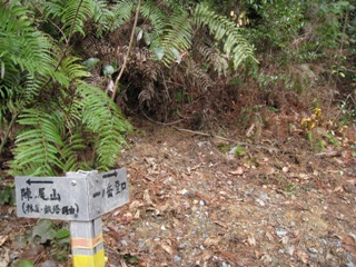 c0077338_8361073.jpg