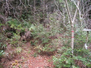 c0077338_8362768.jpg
