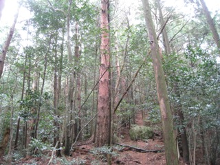 c0077338_8364439.jpg