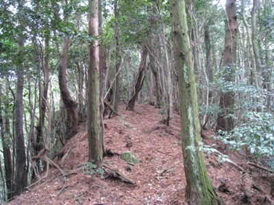 c0077338_8375657.jpg