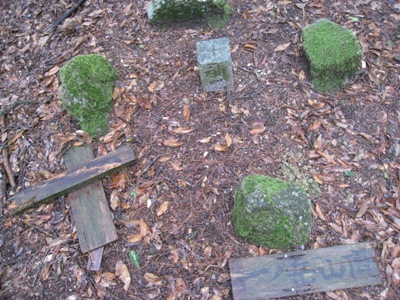 c0077338_8384964.jpg
