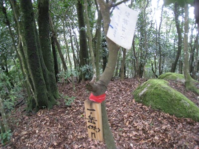 c0077338_8392216.jpg