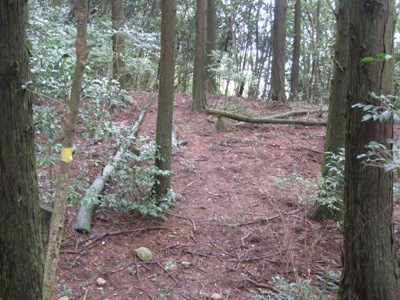 c0077338_8394064.jpg