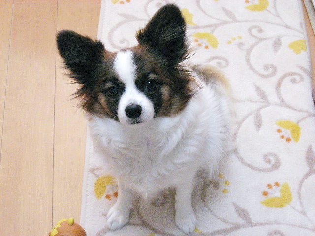 a0149240_1032610.jpg