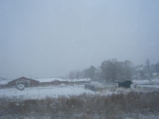 f0107640_1604878.jpg