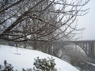 f0107640_1621512.jpg