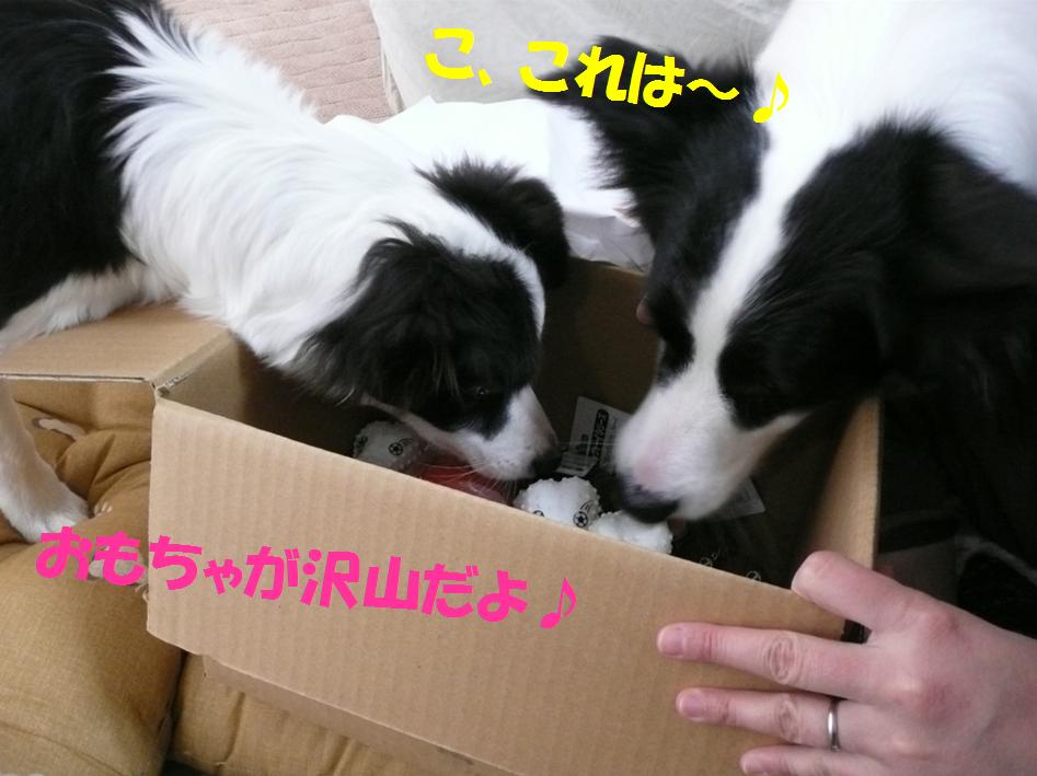 c0147241_19425183.jpg